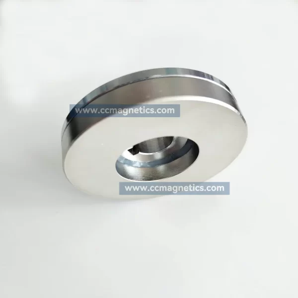 Magnetic Disk Coupler