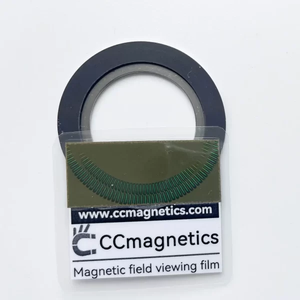 Dual-Track Absolute Magnetic Disc