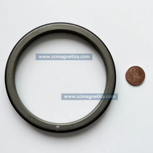 Automotive ABS Induction Injection Ferrite Magnetic ABS Ring