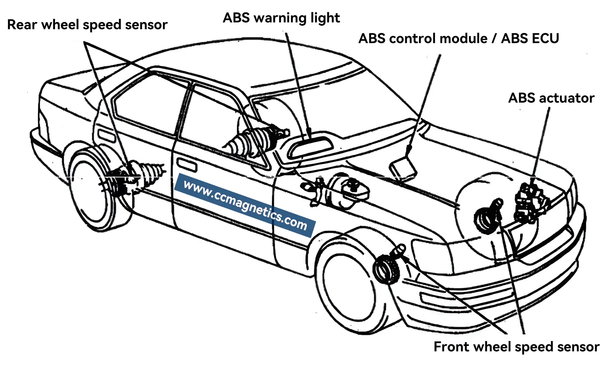 ABS SENSOR RING ABS Rings