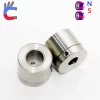 Permanent magnet coupling